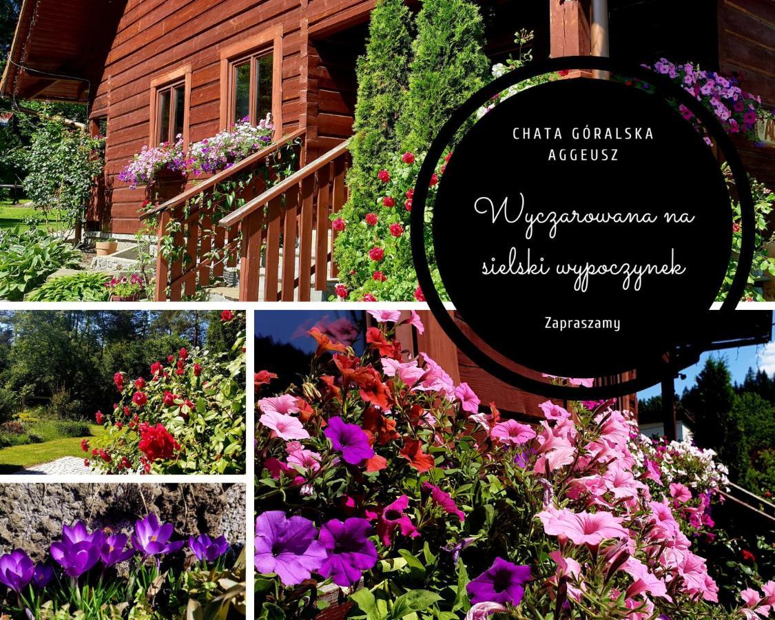 Chata Goralska Aggeusz Wisla